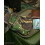 Speero SPEERO Valuables Bag ideal for Wallet Keys Phone DPM 4