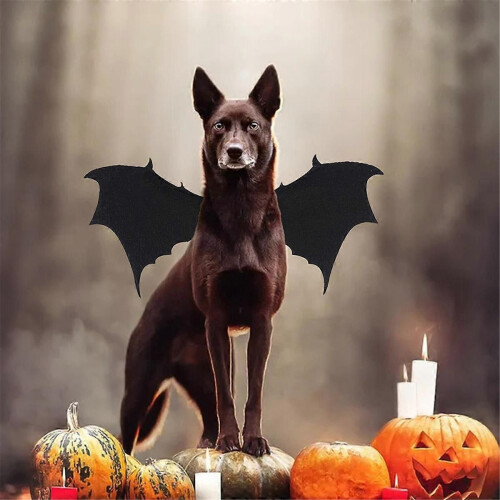 Στολές Halloween για Σκύλους, Στολή Σκύλου Halloween με Φτερά Νυχ 2