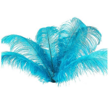 10 pcs Natural Ostrich Feathers Wedding Party Decoration Lake blue 20-25cm