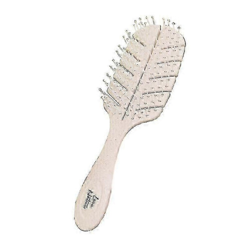 Eco-Friendly Biodegradable Brushes for Sustainable Cleaning | Biofriendly Options