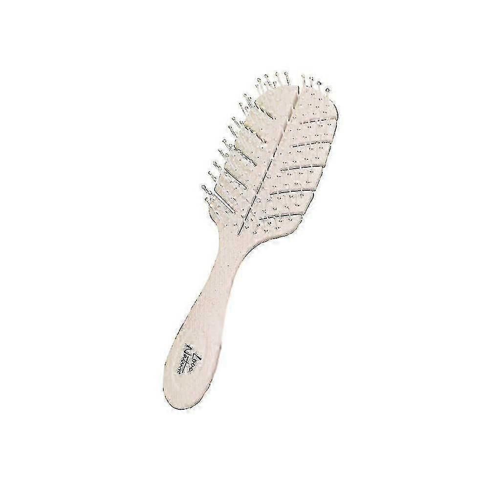 Eco-Friendly Biodegradable Brushes for Sustainable Cleaning | Biofriendly Options
