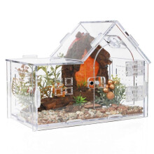 Terrario acrilico per ragni saltatori, terrario versatile per rettili compatibile con tarantole, gechi,