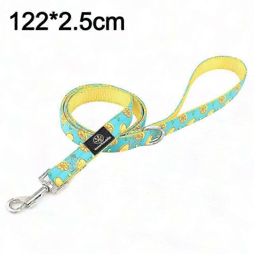 Leash for Large, Medium & Small Pets with Pattern Design 1