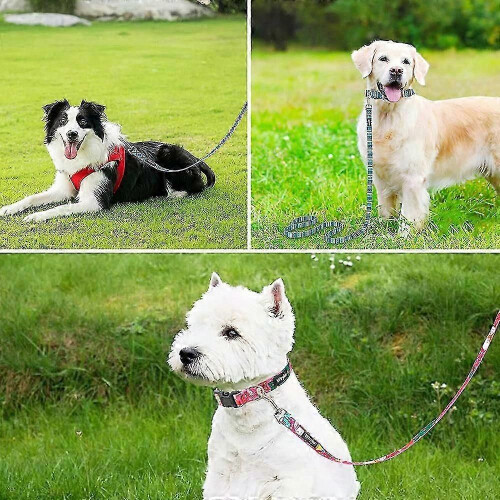 Leash for Large, Medium & Small Pets with Pattern Design 2
