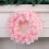 Spring Wreath Pink Artificial Blossom 16 Inch 7