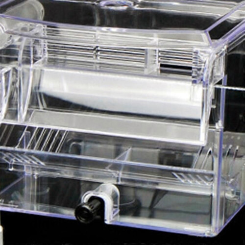 Fish Tank Breeding Incubator Transparent Isolation Hanging Box 2