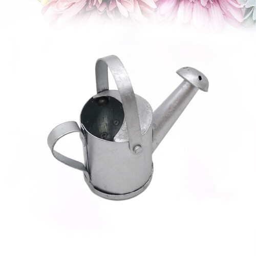 Mini vattenkanna i metall, 2-pack 2