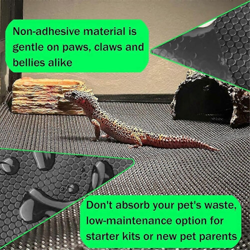 Large Reptile Carpet, Reptile Mat, Bearded Dragon 2
