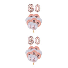 24Pcs Birthday Party Balloons Latex Assorted Color Confetti Decoration