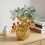 Feng Shui Kristallbonsai Wohlstand 3