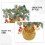 Feng Shui Kristallbonsai Wohlstand 4