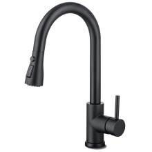 HASVREOG Kitchen Pull-Down Faucet with High Arc Spout, Dual Function Spray Head,High - Performance Pull - Out Kitchen Sink Faucet,Easy Installation (M