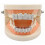 Silver Plated Top & Bottom Mouth Teeth Grills High Quality, Silver 3