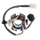 Μοτοσικλέτα Magneto Stator Coil 6 Coil 5 Wire Stator συμβατό για 50cc 70cc 90cc 3