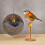 Hanging Coconut Bird Color Bird Cage Accessory Bed 3