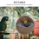 Hanging Coconut Bird Color Bird Cage Accessory Bed 5