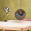 Hanging Coconut Bird Color Bird Cage Accessory Bed 9