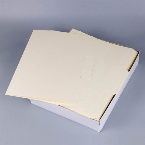 Hanging File Folders, Letter Size,1/5-Cut Adjustable Tabs, 100 Per Box 1