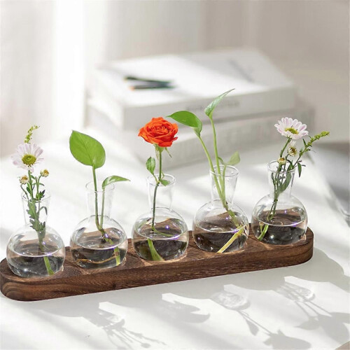 Σταθμός πολλαπλασιασμού φυτών Terrarium, γυάλινο βάζο με βολβό κ 1