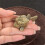 Multipurpose Brasses Tea Pet Sculpture Pufferfishes Office-2pcs 2