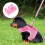 1Set Verstelbare Roze Huisdier Pulling Rope Met Mesh Vest 6