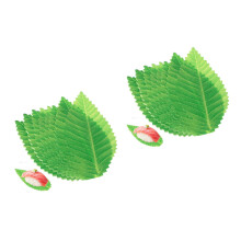 400St Realistische Bladeren Voor Sushi Sashimi Platen Decor