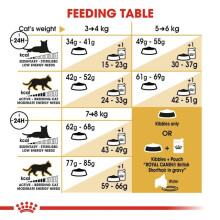 Royal Canin Cat Food British Shorthair Dry Mix 4 kg