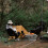 Collapsing Barbecue Barbecue With Side Air Outlet To Improve 4