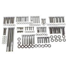 Kit di viti motore in acciaio inox compatibile con Harley Touring, Electra Glide, Street Glide, Road