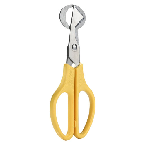 Sax för vaktelägg i rostfritt stål, 14 cm 1