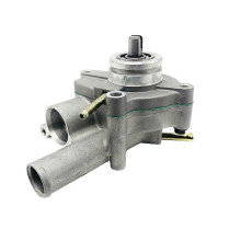 Wasserpumpenbaugruppe 19700-004-0000 für HiSun 500 700 HS700UTV HS500ATW 550 MASSIMO COLEMAN BENNCHE