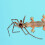 De Protection Eva Pour Reptile Nettoyage Facile 9