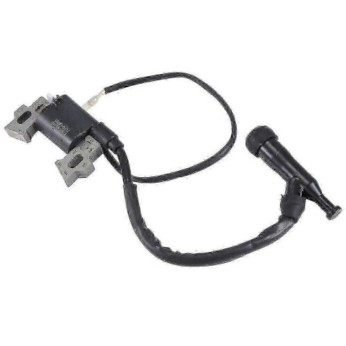 Zündspule für 168F Kleinbenzinmotor 6,5 PS 1