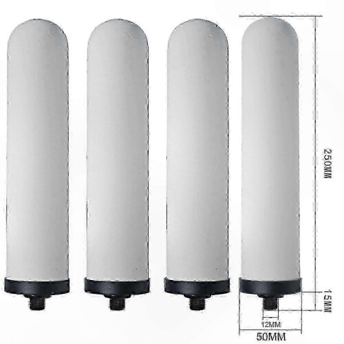 4-Pack Ceramic Filters for Water Purification Systems 2