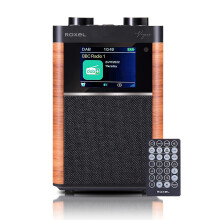 Roxel Vogue Portable DAB/DAB+ FM Radio & Wireless Speaker with Clear Sound, Alarm Snooze Function, Remote Control, USB, LCD Screen, Carrying Strap, 8