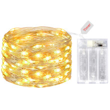 litogo Fairy Lights Battery Operated with Timer, 5M/50 LED Copper Wire Micro LED String Lights Indoor, Warm White Hanging Twinkle Lights for Bedroom