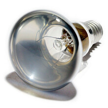 4 x STATUS R63 60W ES E27 Reflector Spot Light Bulbs, Edison Screw Cap, Dimmable Incandescent Sportlight Lamps