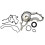 15639460 TCS46162 Timing Cover Gaskets Set for 4