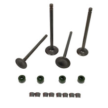 12911-38200 /12912-38201 Motorcycle Valve Assembly Valve for Suzuki GZ250 CAM SHAFT/VALVE 1999-2008 GZ250K8 GZ250K9 2008