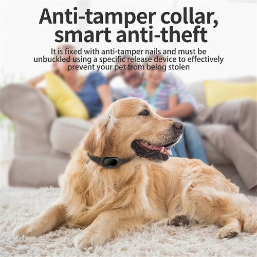 4G GPS Pet Tracker Φωνητική Οθόνη Κατοικίδιων Σκύλων Γατών GPS Ant 2