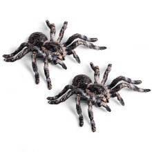 2 pezzi di ragno realistico modello insetto da 9,5 cm giocattolo spaventoso