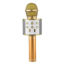 Ws858 Professional Handheld Wireless USB Speaker Microphone for Kids Music Player Singing KTV Recorder