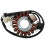 Stator Coil for YFM250 Bear Tracker YFB250 1994-2000 4BD-85510-20-00 2