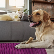 255 Cavity Silicone Baking Mat Heart Shape Drain Pad Chocolate Mould Baking Mold for Dog Biscuits