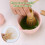 5Pcs Japanese Ceramic Matcha Gift Box Matcha Tea Set 3