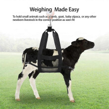 4X Calf Sling compatible Weighing Small Animals,Livestock Sling, Hang Scale, Calf Scale Hanging Weight Scal