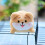 Shiba Inu Doll Brown String Swing Tail Toy 1 Piece 5