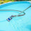 Swimming Pool Vacuum Head with Wheels - Adjustable Handle & Removable Cleaning Tools for Pools 2