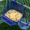 2Pièces Distributeurs D'eau Automatiques PVC Pour Hamsters 6