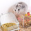 2Pièces Distributeurs D'eau Automatiques PVC Pour Hamsters 8